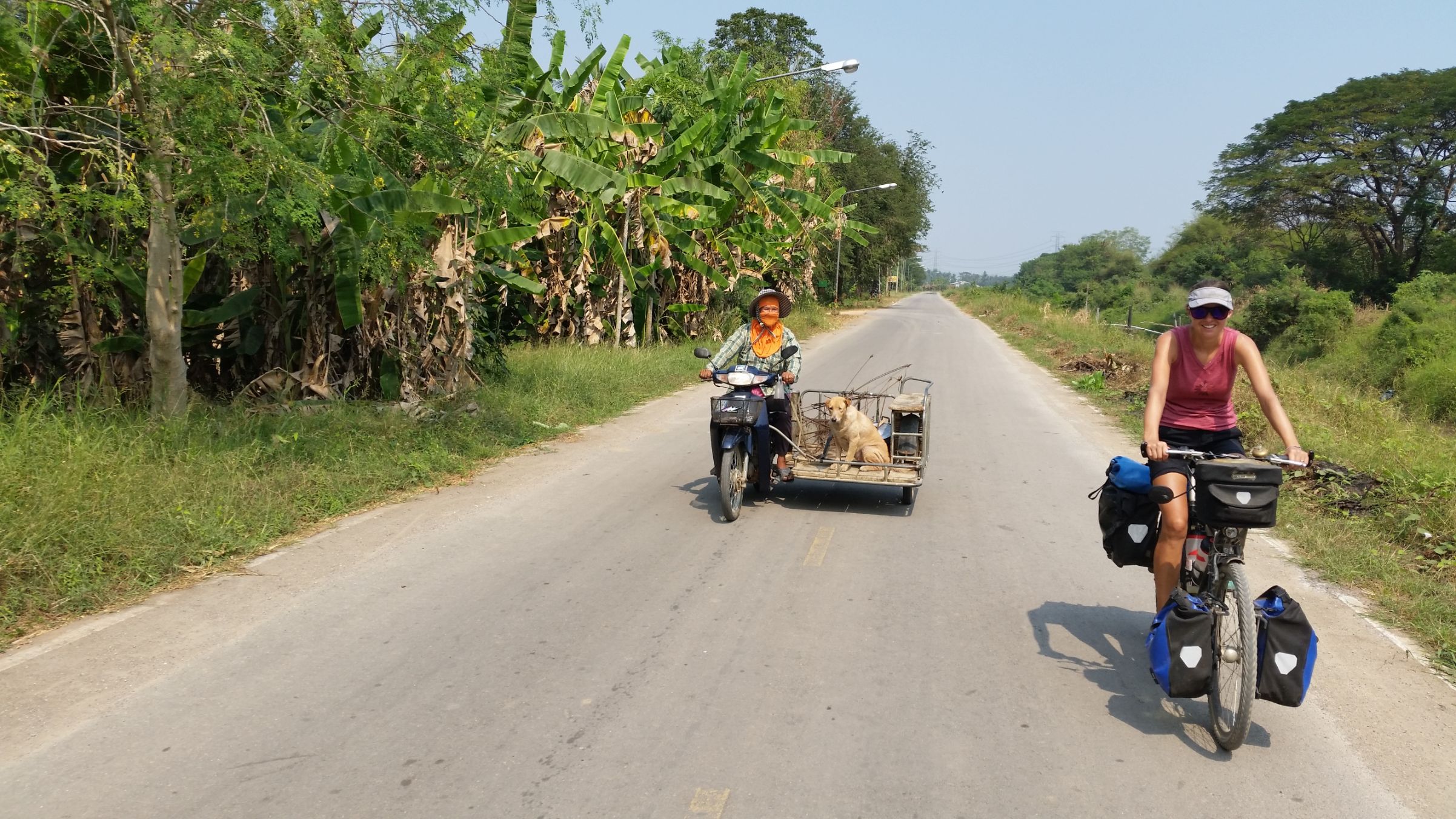 THaDogTrike